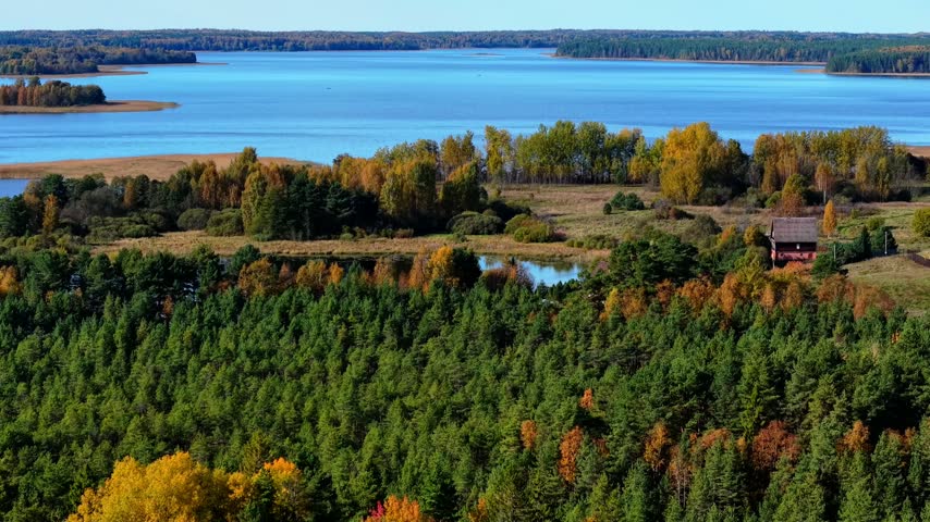 Aerial panorama of vibrant autumn landscape with green pines, yellow foliage and calm lake