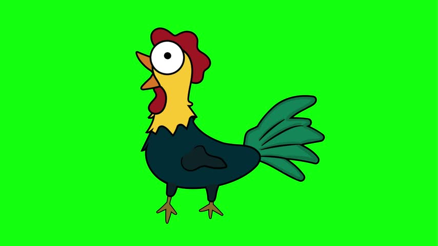 a vector animation of a colorful rooster with funny shocked expressions, featuring wide eyes, open beak, and tongue-out reaction. Perfect for playful, meme, and character content