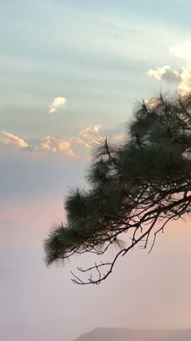 golden sunset at the horizon