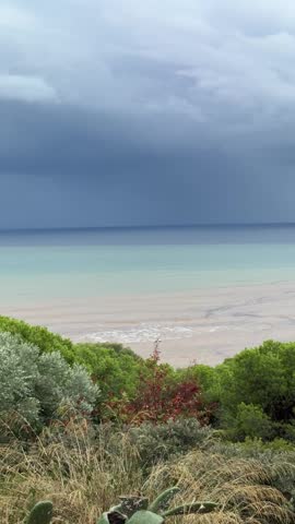 Muddy brown sediment water from heavy rain runoff mixing with turquoise Mediterranean sea under dark storm clouds, waves breaking on the shore, aerial view from hill with pine trees