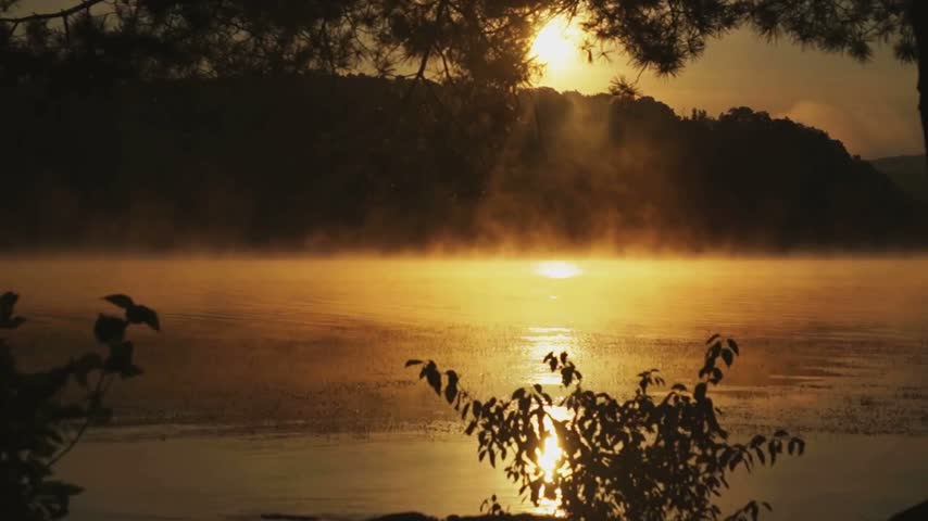 Golden sunrise light pierces morning mist over a calm lake, framed by dark pine silhouettes in a serene wilderness at dawn.