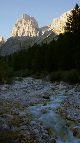 Dry boulders and pale rock fill a forested mountain gorge beneath bright limestone peaks in warm afternoon light.