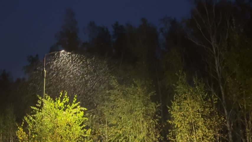 Snow falls in the light of a street lamp. Early autumn.