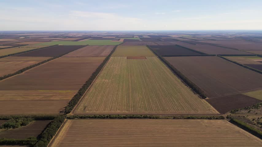 High altitude drone view of vast agricultural fields and patchwork farmlands with tree line boundaries extending to the distant clear horizon.