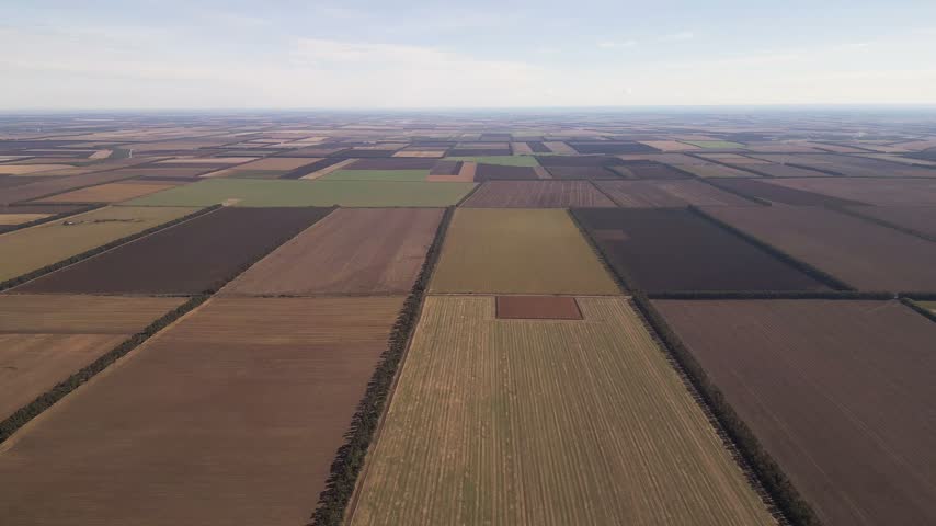 High altitude drone view of vast agricultural fields and patchwork farmlands with tree line boundaries extending to the distant clear horizon.