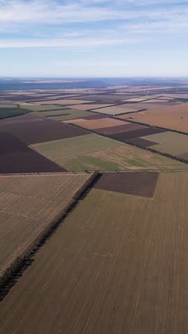 High altitude drone view of vast agricultural fields and patchwork farmlands with tree line boundaries extending to the distant clear horizon.