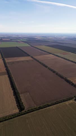 High altitude drone view of vast agricultural fields and patchwork farmlands with tree line boundaries extending to the distant clear horizon.