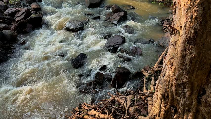 Closeup view from a bridge showing turbulent stream currents eroding the rocky bank around exposed tree roots