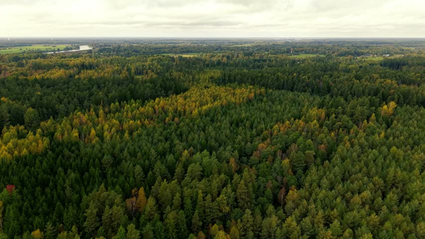 Aerial landscape showing an expansive mixed forest with green and golden autumn foliage, open fields, distant waterways, and a broad horizon beneath an overcast sky.