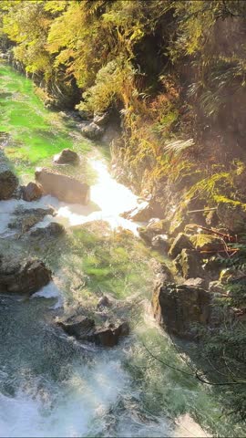 Sunlight sparkling on a brilliant emerald river winding through a rocky forest canyon at Lynn Canyon in Vancouver, a magical Pacific Northwest rainforest gorge.