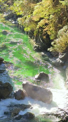 Sunlight sparkling on a brilliant emerald river winding through a rocky forest canyon at Lynn Canyon in Vancouver, a magical Pacific Northwest rainforest gorge.