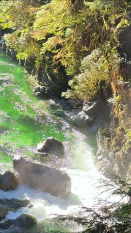 Sunlight sparkling on a brilliant emerald river winding through a rocky forest canyon at Lynn Canyon in Vancouver, a magical Pacific Northwest rainforest gorge.