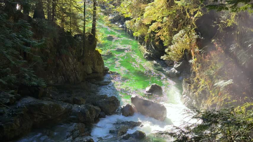 Sunlight sparkling on a brilliant emerald river winding through a rocky forest canyon at Lynn Canyon in Vancouver, a magical Pacific Northwest rainforest gorge.
