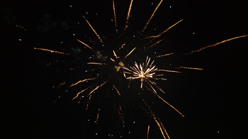 Colorful fireworks bursting in a dark night sky