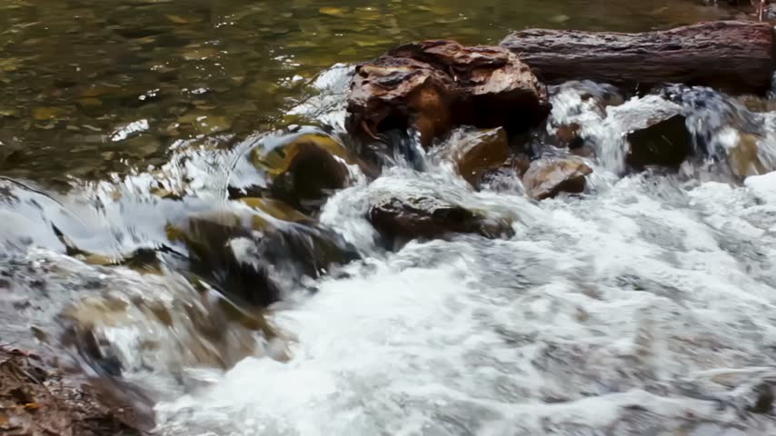 Clear mountain creek water flowing rapidly over smooth wet stones and fallen log in forest, natural stream cascade concept.