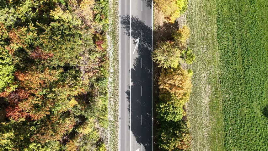 Aerial view of a road through autumn foliage. Green fields contrast vibrant trees on either side. Lone car moves steadily along the asphalt. Sunlight casts long shadows across the scene