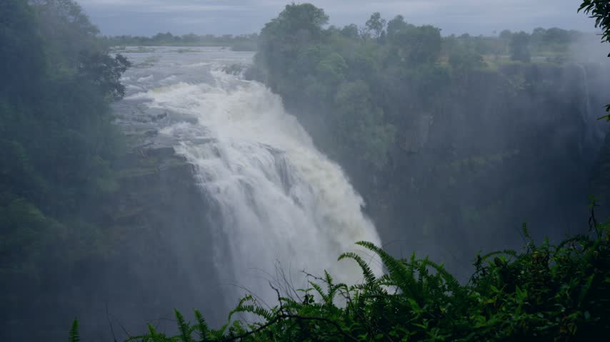 Water plunges into the gorge at Victoria Falls, framed by foliage.