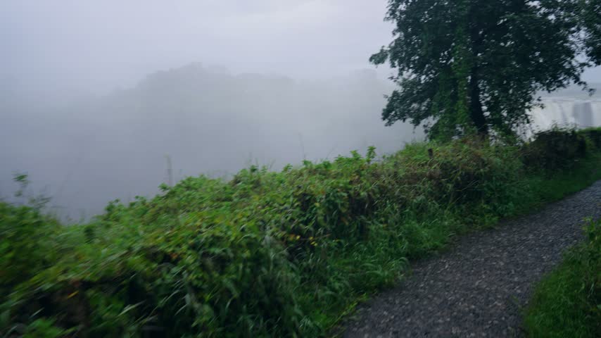 Rainforest path leading toward Victoria Falls, the falls glimpsed beyond.