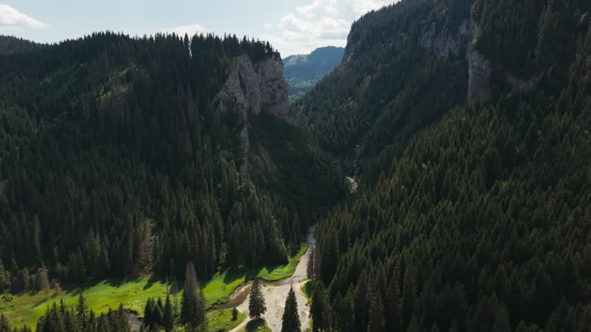 A pale gravel channel curves through a narrow forest corridor beneath steep limestone faces in Zanoaga Gorge.