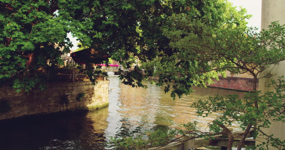 Tree-Lined Canal Corner in Brugge, Belgium.
