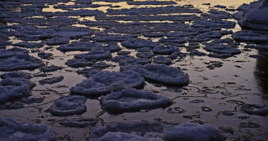 Close winter view shows rounded pancake ice drifting across dark Lake Superior water under warm evening light at Presque Isle Park in Marquette, Michigan.