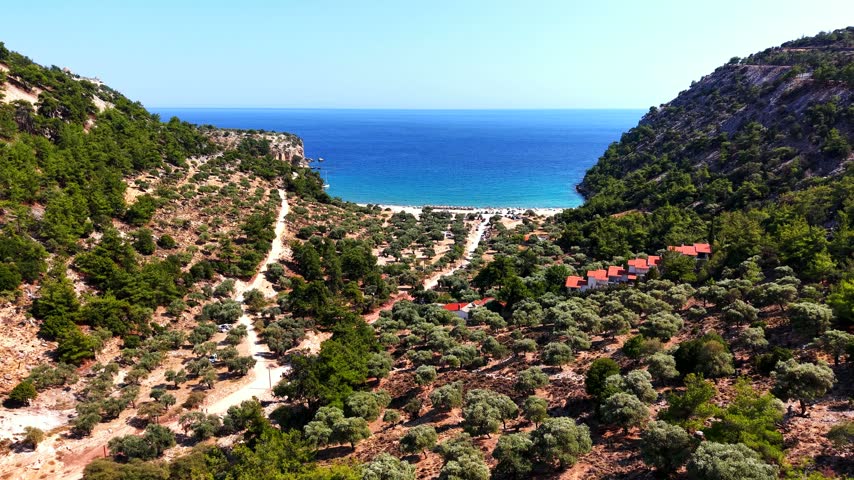 Drone flies through a valley with olive trees and houses towards the sea at Livadi beach on Thassos, Greece