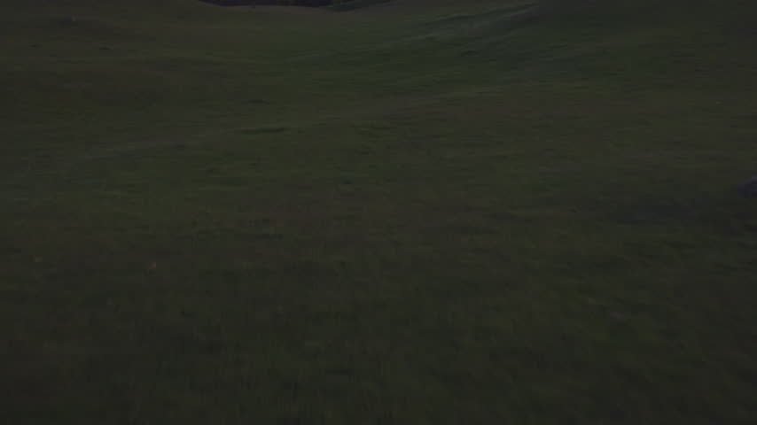 Aerial view flying low over rolling green grassland hills at dusk, with forest and a pink evening sky on the horizon.
