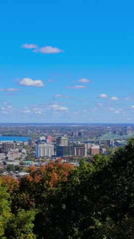 Vertical view of the green steel Jacques Cartier Bridge over the Saint Lawrence River seen from Mount Royal above autumn trees.