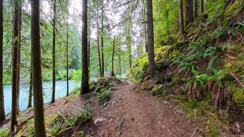 Views of Thunder Creek in North Cascades National Park