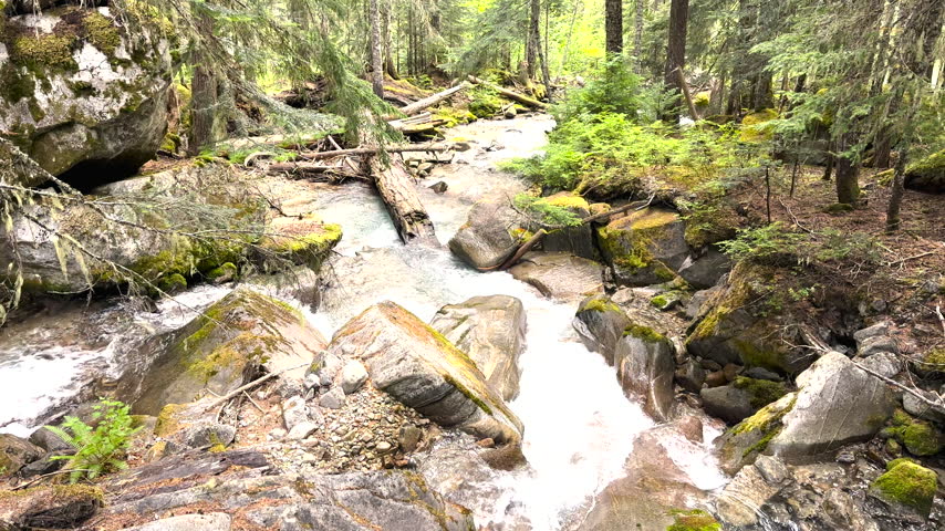 Water Rushes Down Fisher Creek in North Cascades National Park