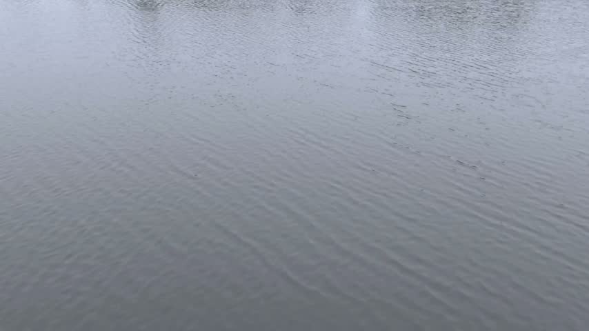 Calm water surface with gentle ripples on a lake during overcast day