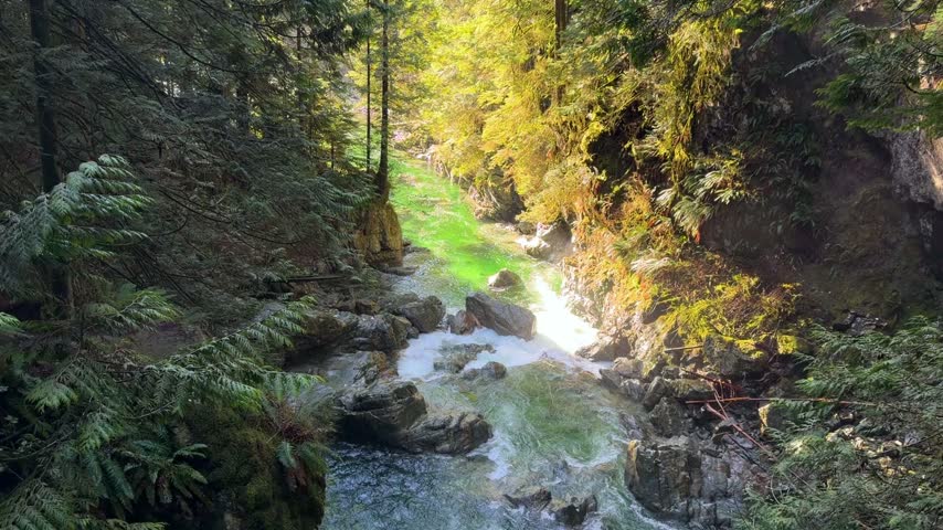 Sunlit emerald river cascading through a narrow rocky canyon surrounded by ferns and cedars at Lynn Canyon in Vancouver, a magical Pacific Northwest rainforest gorge.
