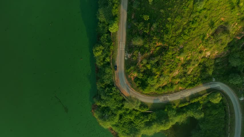 Aerial view of a winding road along a green lake surrounded by lush vegetation in Udaipur, Rajasthan, India.