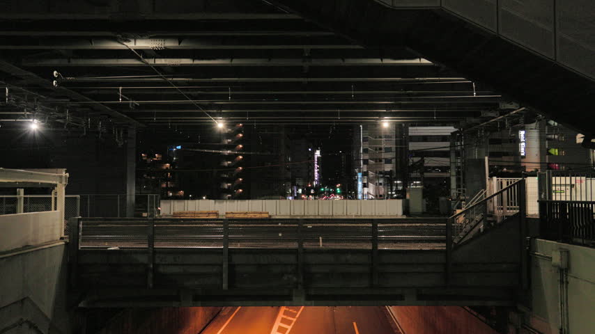 Night in Tokyo  :  Commuter Train Crossing Above the City Streets as It Heads Home  |  Ikebukuro, Tokyo, Japan