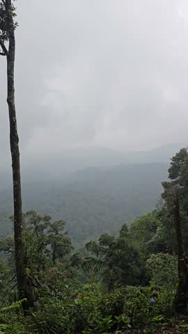 a footage of lush coffee estate overlooking distant mountain slopes beneath an overcast sky for bussiness and villa idea.