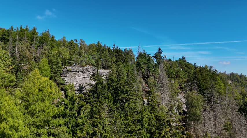 Aerial view of the Black Hills in South Dakota, USA. Rocks, mountains, and forest.