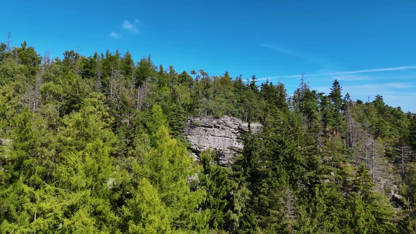 Aerial view of the Black Hills in South Dakota, USA. Rocks, mountains, and forest.