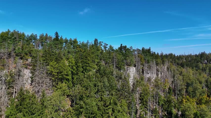 Aerial view of the Black Hills in South Dakota, USA. Rocks, mountains, and forest.