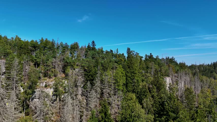 Aerial view of the Black Hills in South Dakota, USA. Rocks, mountains, and forest.