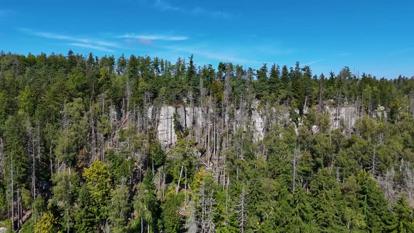 Aerial view of the Black Hills in South Dakota, USA. Rocks, mountains, and forest.