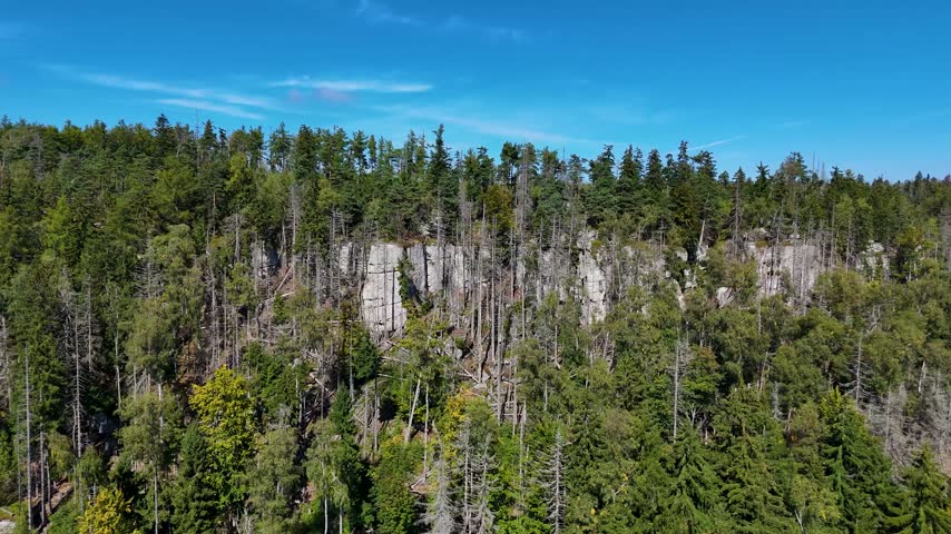 Aerial view of the Black Hills in South Dakota, USA. Rocks, mountains, and forest.