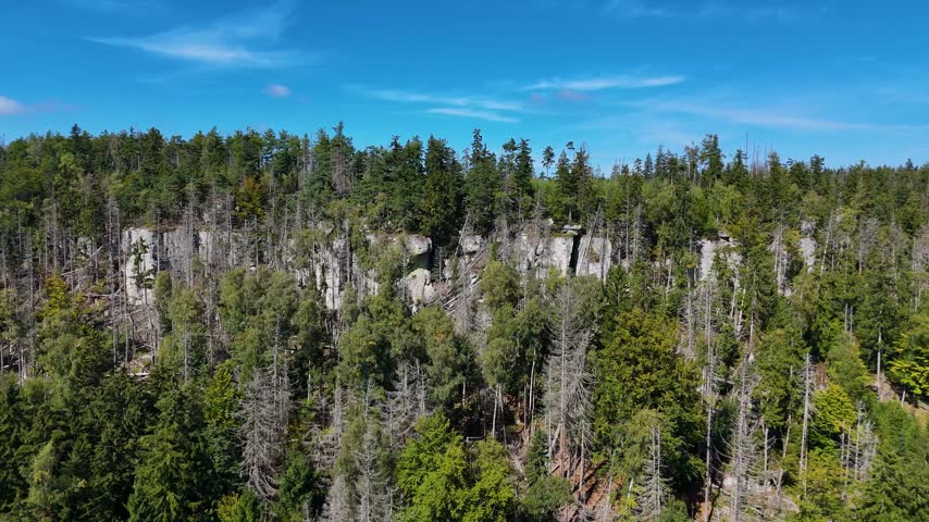 Aerial view of the Black Hills in South Dakota, USA. Rocks, mountains, and forest.