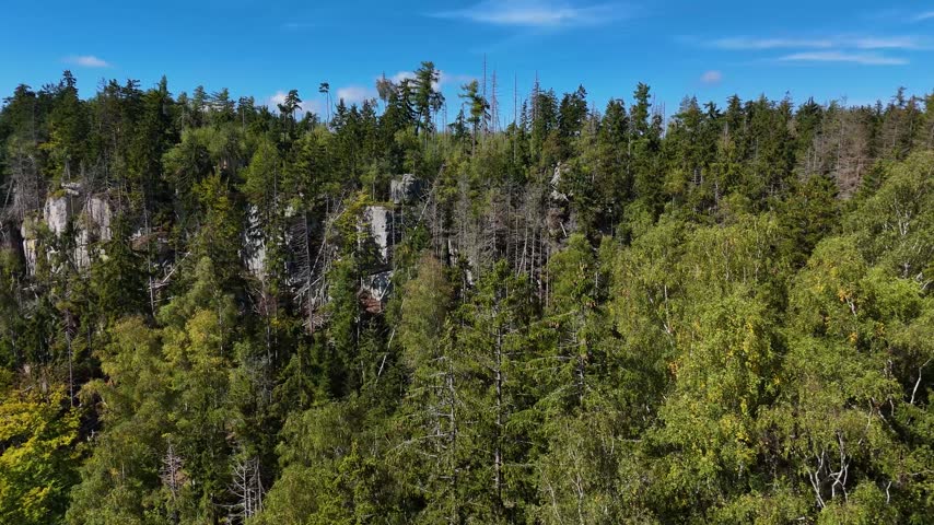Aerial view of the Black Hills in South Dakota, USA. Rocks, mountains, and forest.