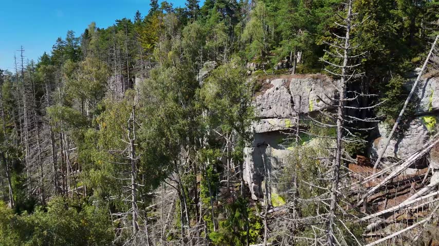 Aerial view of the Black Hills in South Dakota, USA. Rocks, mountains, and forest.