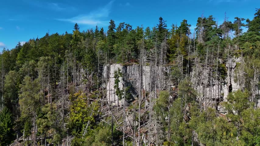 Aerial view of the Black Hills in South Dakota, USA. Rocks, mountains, and forest.