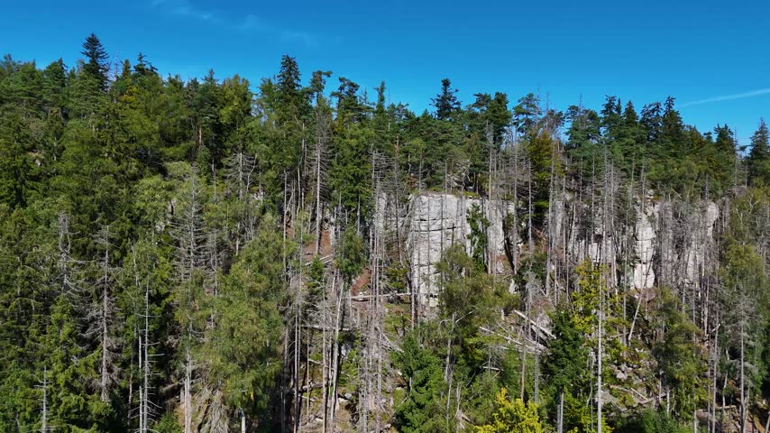 Aerial view of the Black Hills in South Dakota, USA. Rocks, mountains, and forest.