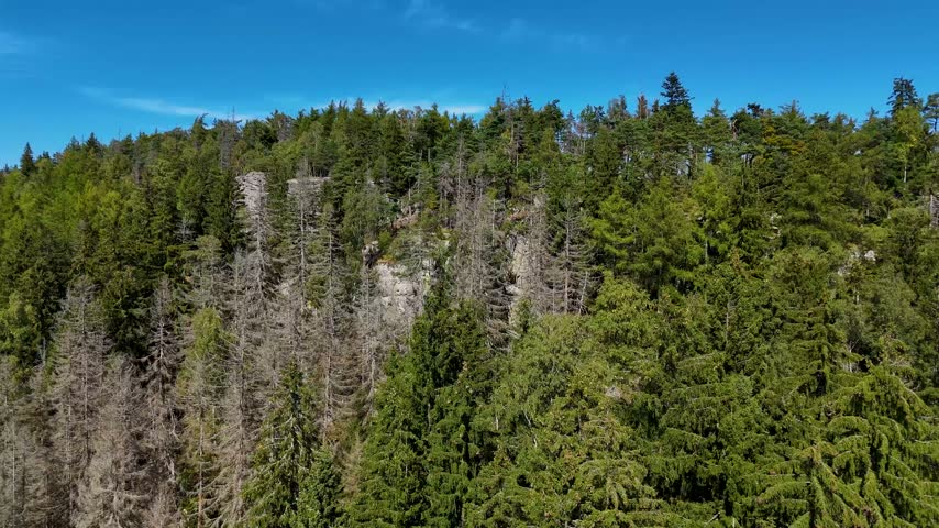 Aerial view of the Black Hills in South Dakota, USA. Rocks, mountains, and forest.