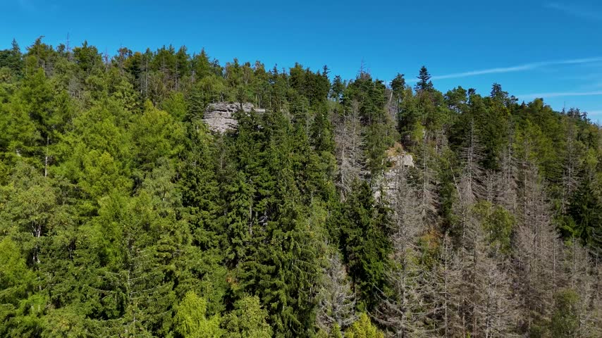 Aerial view of the Black Hills in South Dakota, USA. Rocks, mountains, and forest.