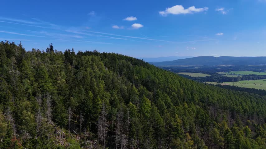 Aerial view of the Black Hills in South Dakota, USA. Rocks, mountains, and forest.