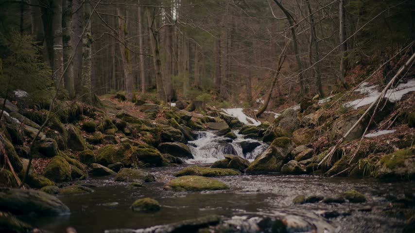 Clear water flows over rocks in a serene forest setting with bare trees and patches of snow on the ground. Natural beauty highlights the tranquility of northern woodland.